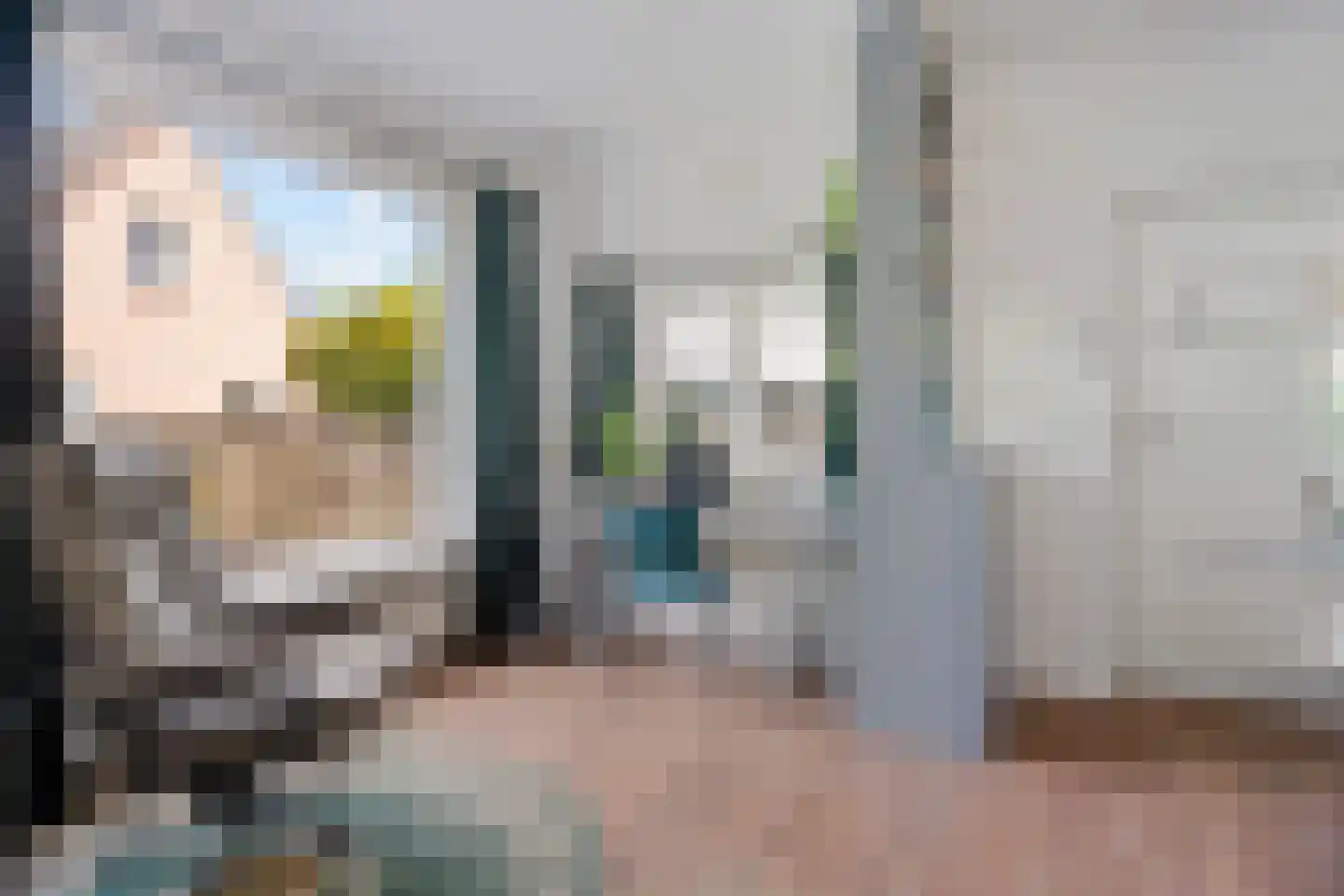 Noordzijde 89 Gasselternijveenschemond thumbnail 13