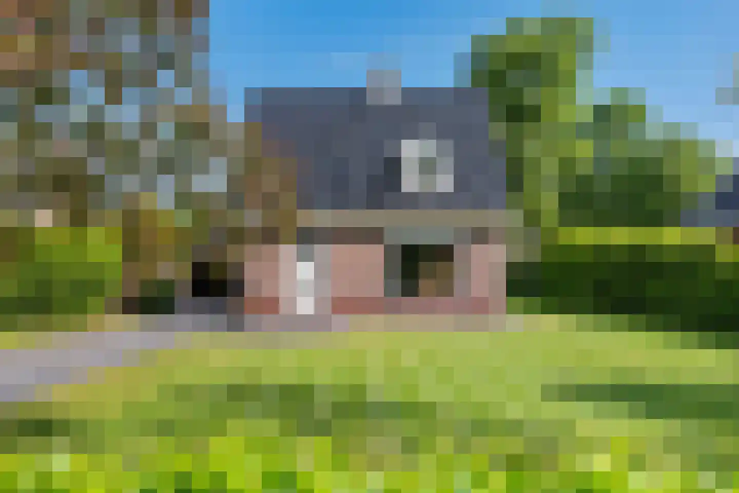 Noordzijde 89 Gasselternijveenschemond foto 2
