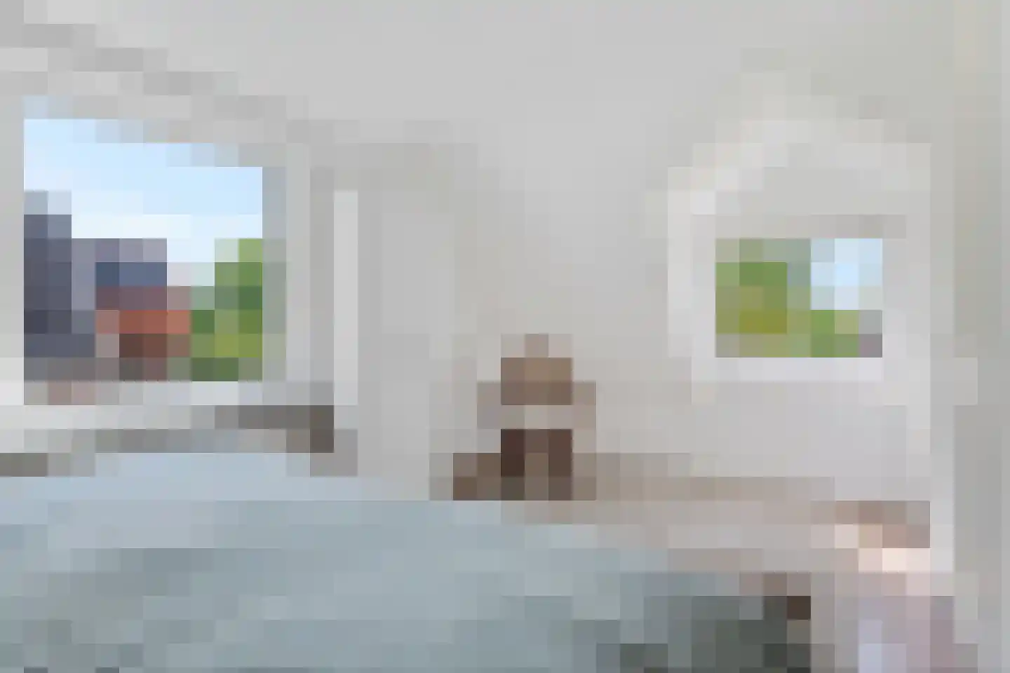 Noordzijde 89 Gasselternijveenschemond thumbnail 28