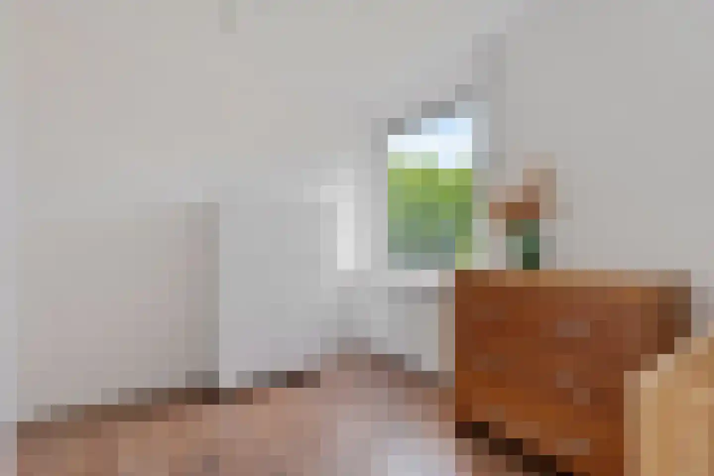 Noordzijde 89 Gasselternijveenschemond thumbnail 30