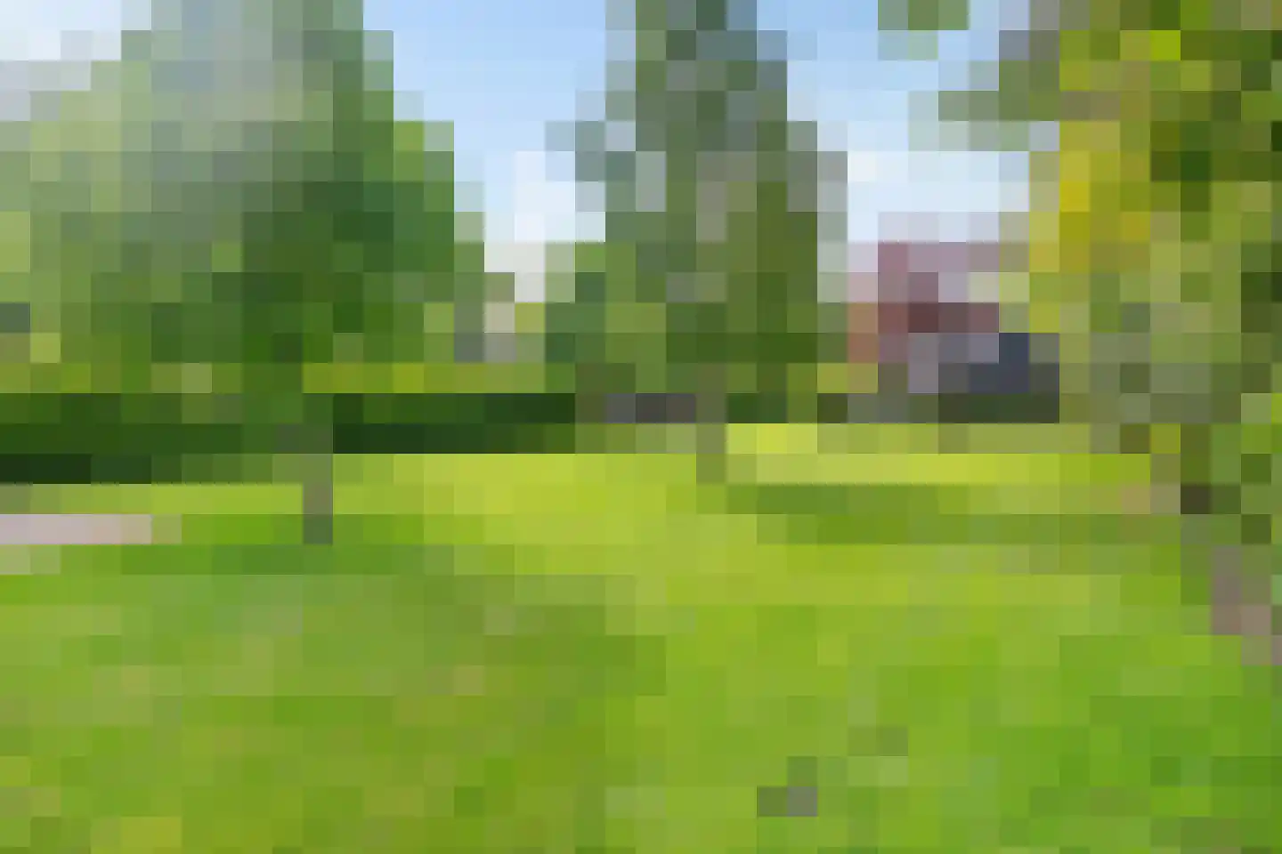 Noordzijde 89 Gasselternijveenschemond thumbnail 38
