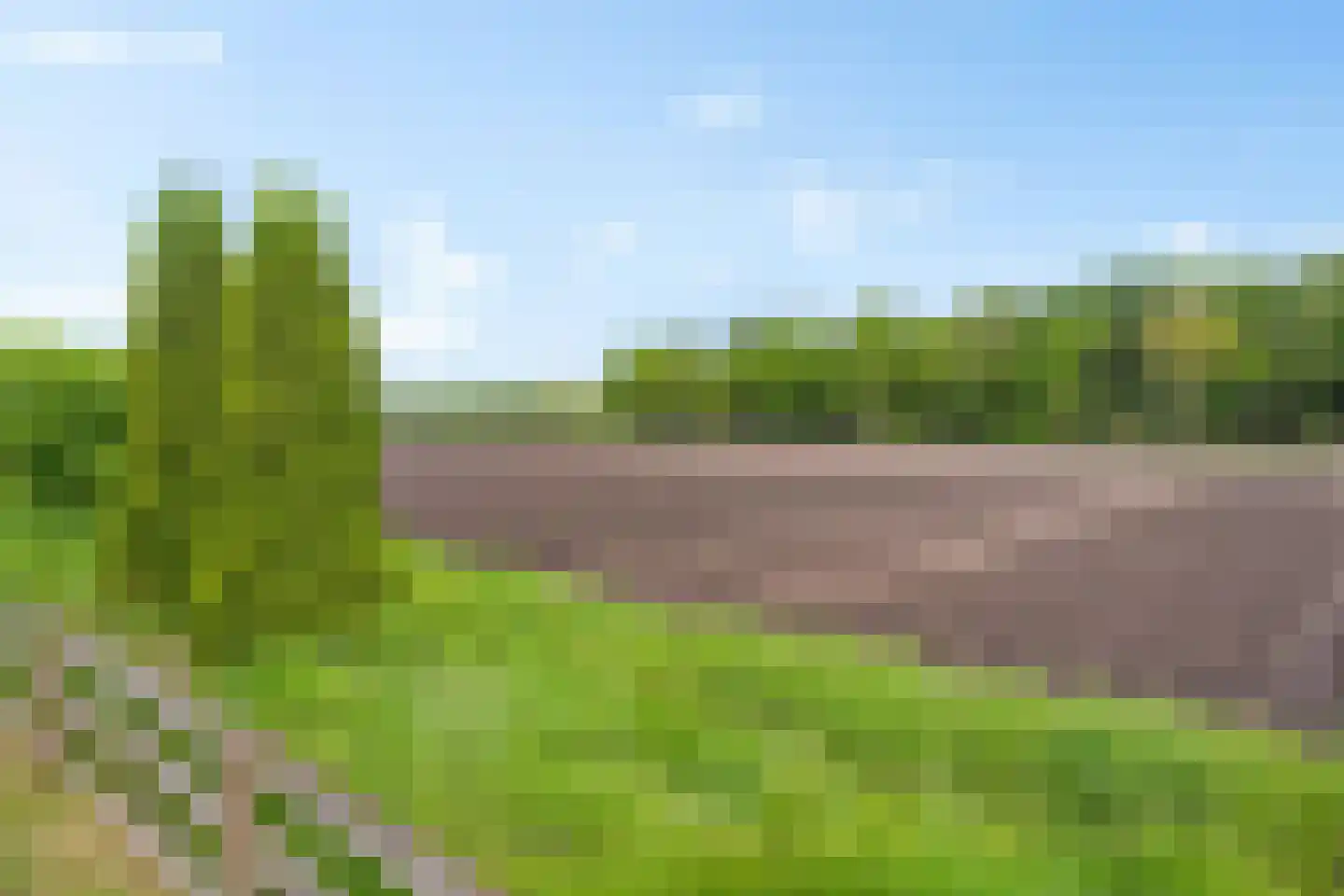 Noordzijde 89 Gasselternijveenschemond thumbnail 41
