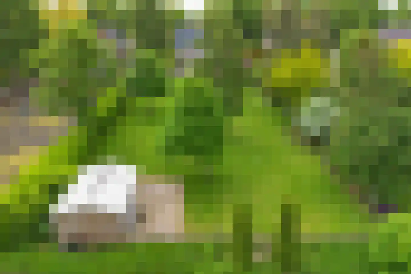 Noordzijde 89 Gasselternijveenschemond thumbnail 50
