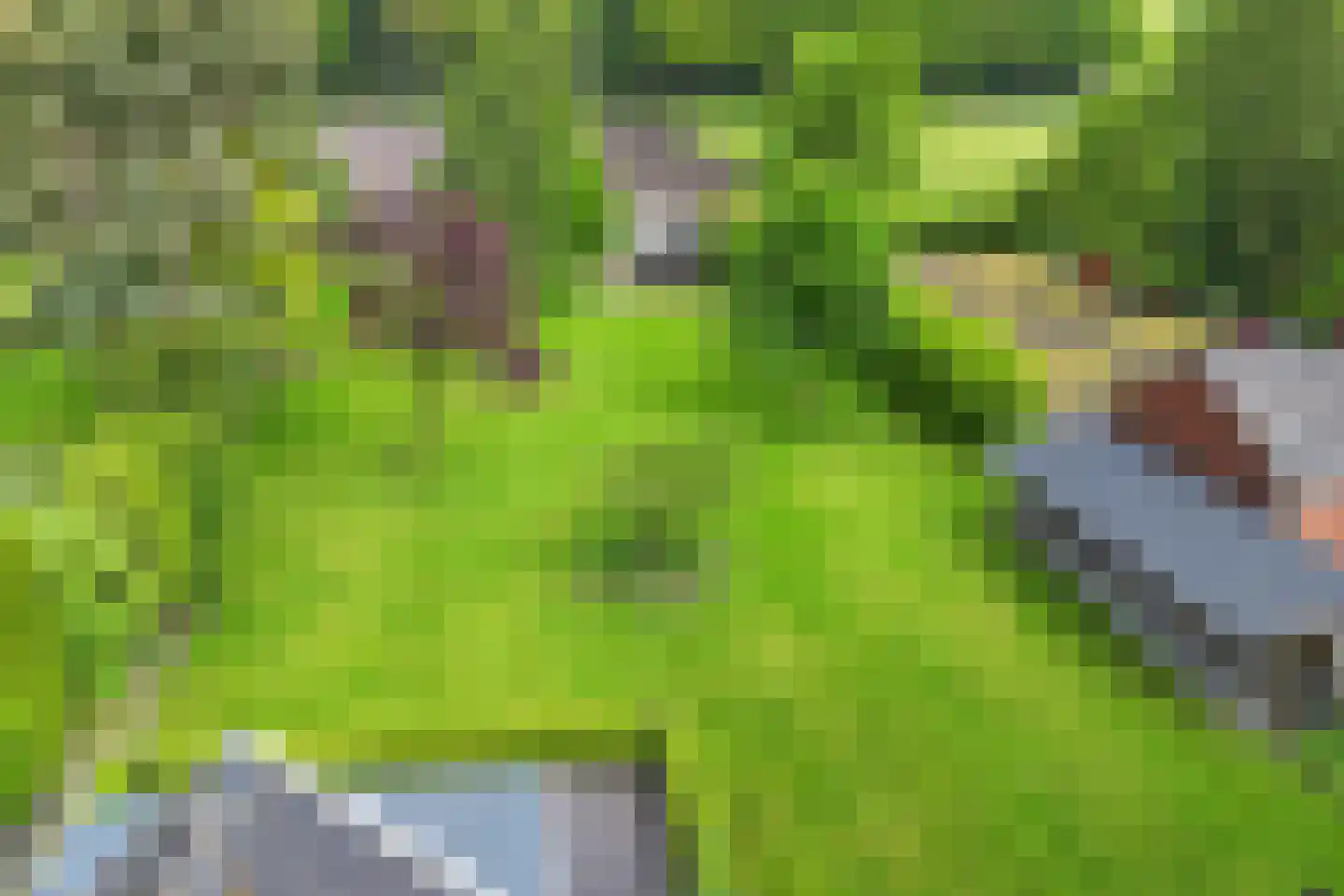 Noordzijde 89 Gasselternijveenschemond thumbnail 51