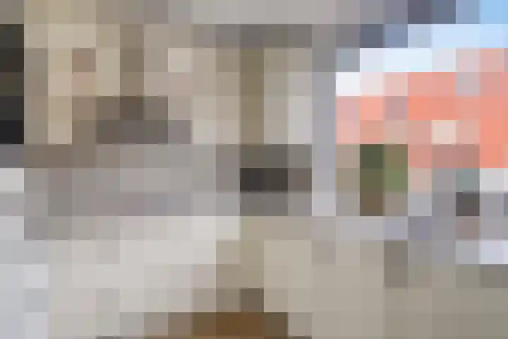 Noordzijdsedijk 110 Hoogvliet Rotterdam thumbnail 13