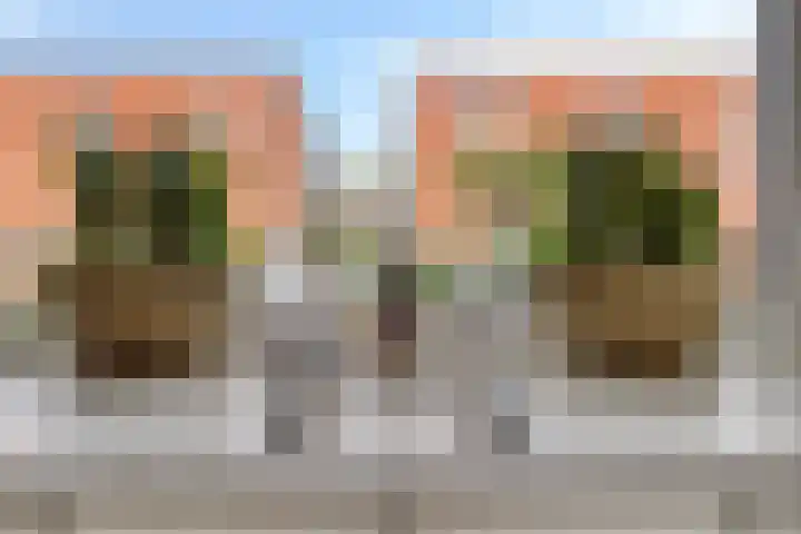Noordzijdsedijk 110 Hoogvliet Rotterdam thumbnail 15