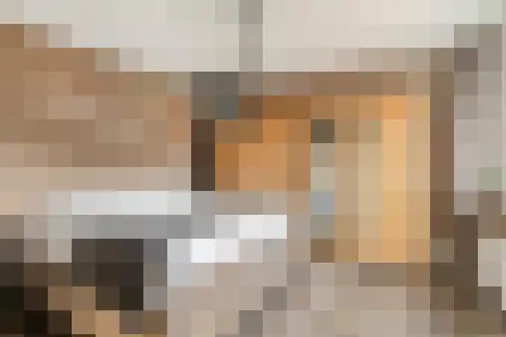 Noordzijdsedijk 110 Hoogvliet Rotterdam thumbnail 17