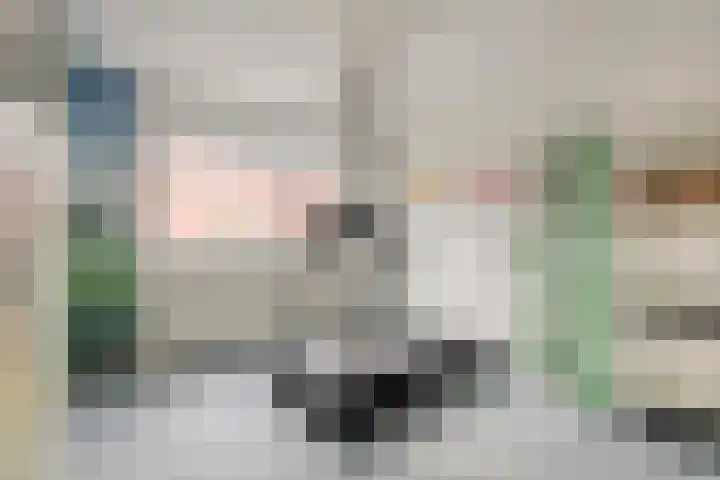 Noordzijdsedijk 110 Hoogvliet Rotterdam thumbnail 19