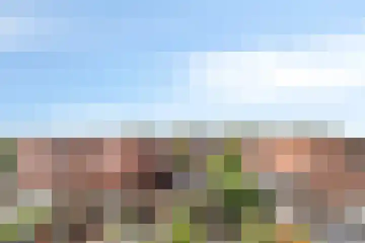 Noordzijdsedijk 110 Hoogvliet Rotterdam thumbnail 24