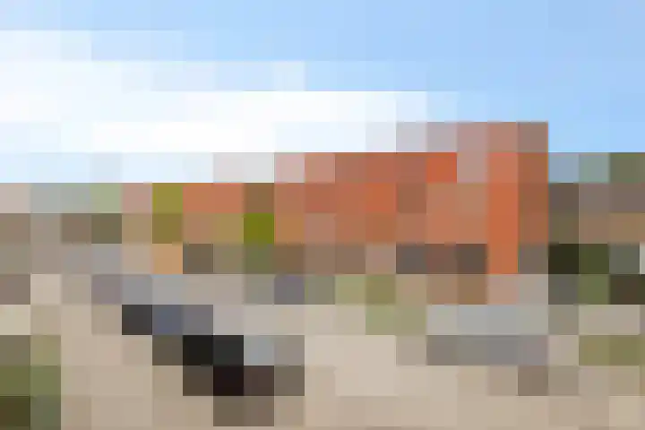 Noordzijdsedijk 110 Hoogvliet Rotterdam thumbnail 25