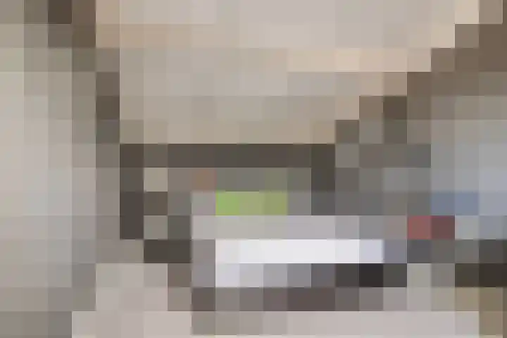 Noordzijdsedijk 110 Hoogvliet Rotterdam thumbnail 27