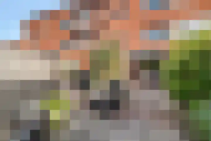 Noordzijdsedijk 110 Hoogvliet Rotterdam thumbnail 30