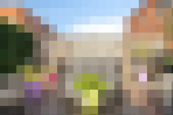 Noordzijdsedijk 110 Hoogvliet Rotterdam thumbnail 31