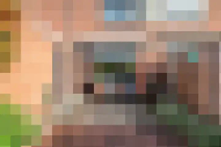 Noordzijdsedijk 110 Hoogvliet Rotterdam thumbnail 32