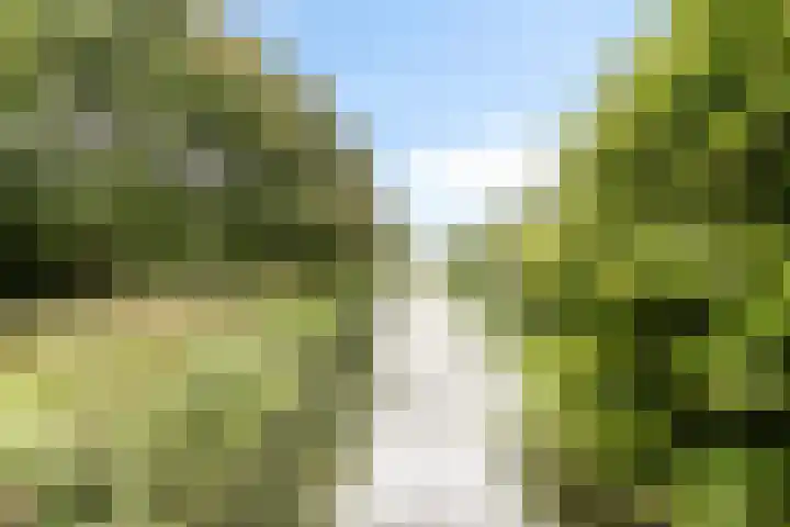 Noordzijdsedijk 110 Hoogvliet Rotterdam thumbnail 34