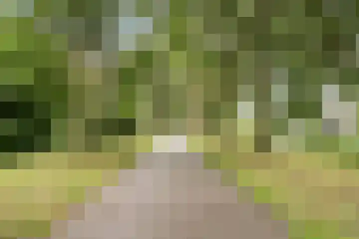 Noordzijdsedijk 110 Hoogvliet Rotterdam thumbnail 35