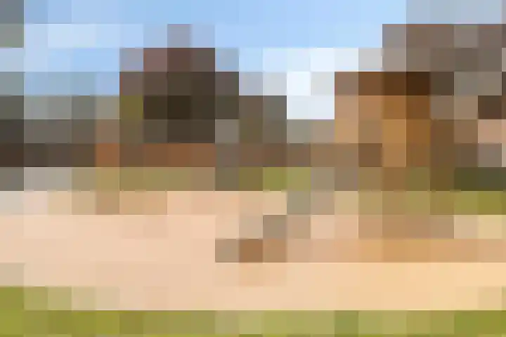 Noordzijdsedijk 110 Hoogvliet Rotterdam thumbnail 37
