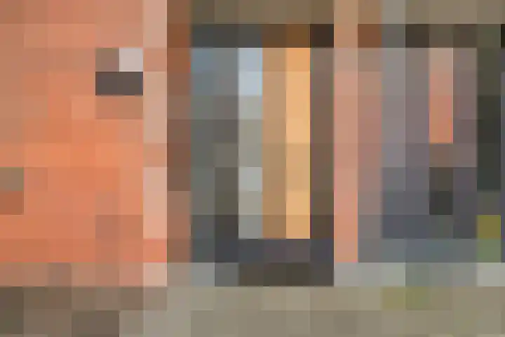 Noordzijdsedijk 110 Hoogvliet Rotterdam thumbnail 4