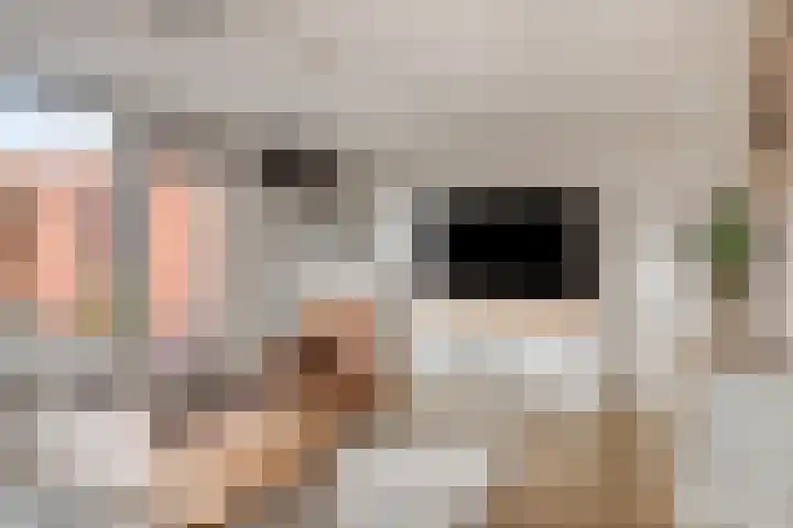 Noordzijdsedijk 110 Hoogvliet Rotterdam thumbnail 8