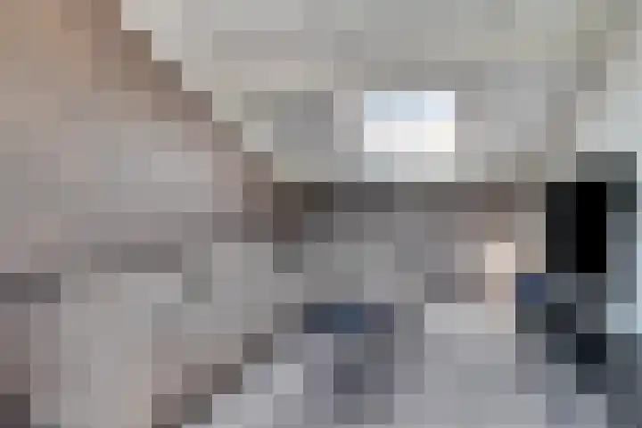 Noordzijdsedijk 116 Hoogvliet Rotterdam thumbnail 28
