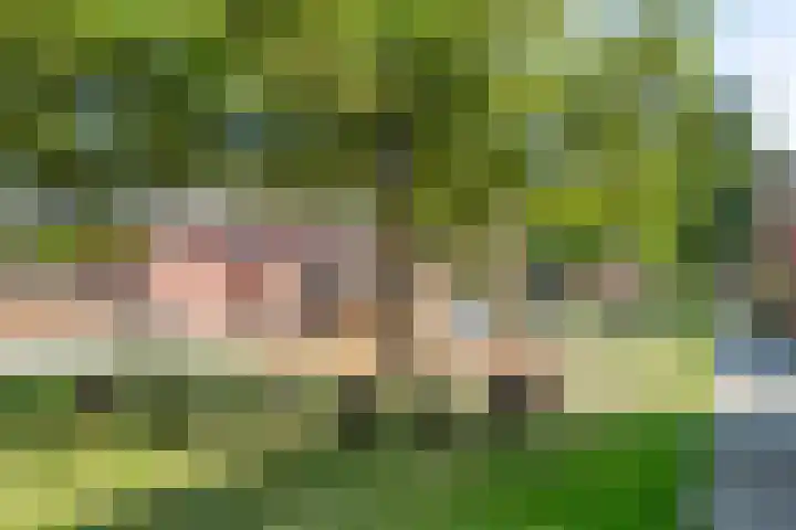 Noordzijdsedijk 116 Hoogvliet Rotterdam thumbnail 33