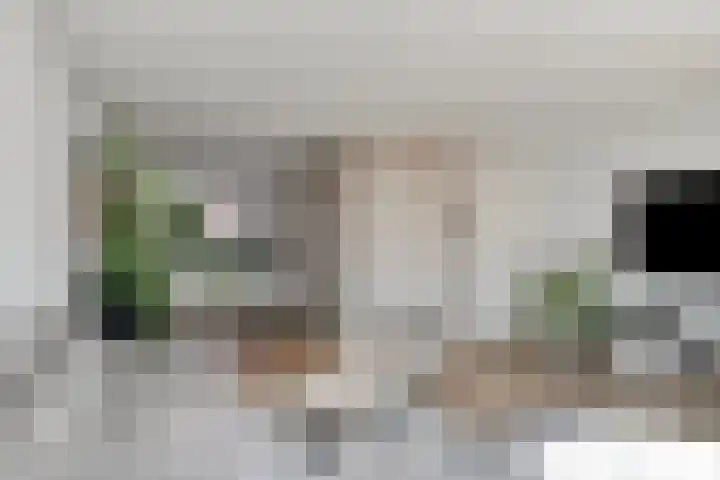 Noordzijdsedijk 116 Hoogvliet Rotterdam thumbnail 5