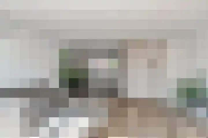 Noordzijdsedijk 116 Hoogvliet Rotterdam thumbnail 6