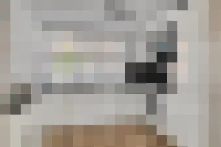 Noordzijdsedijk 116 Hoogvliet Rotterdam thumbnail 7