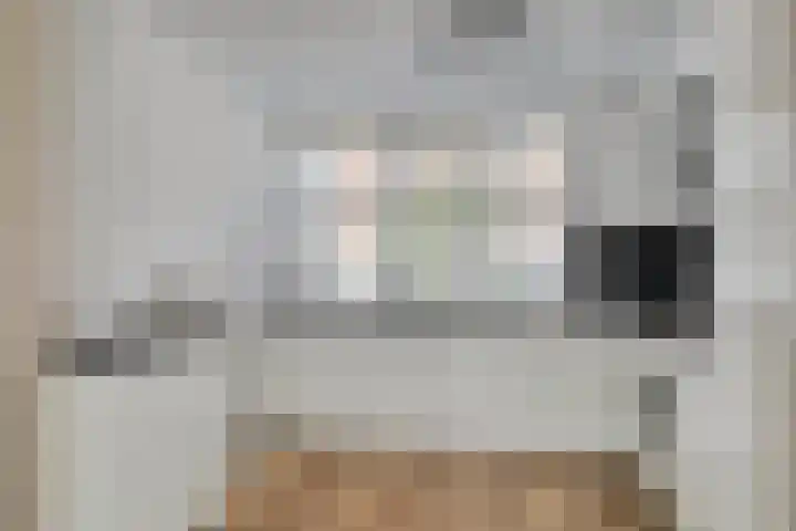 Noordzijdsedijk 116 Hoogvliet Rotterdam thumbnail 9