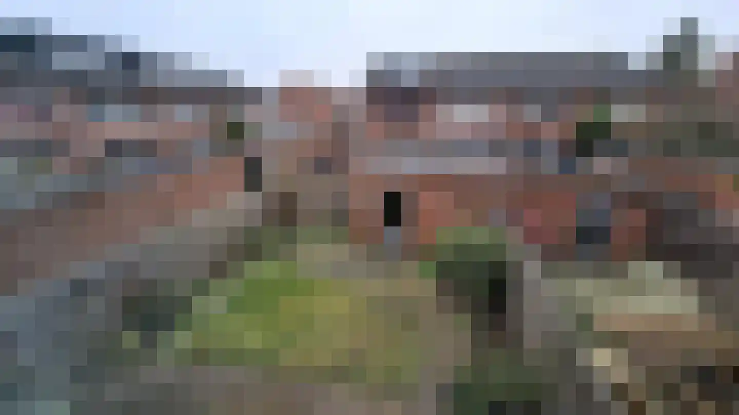 Noordzijdsedijk 144 Hoogvliet Rotterdam thumbnail 11