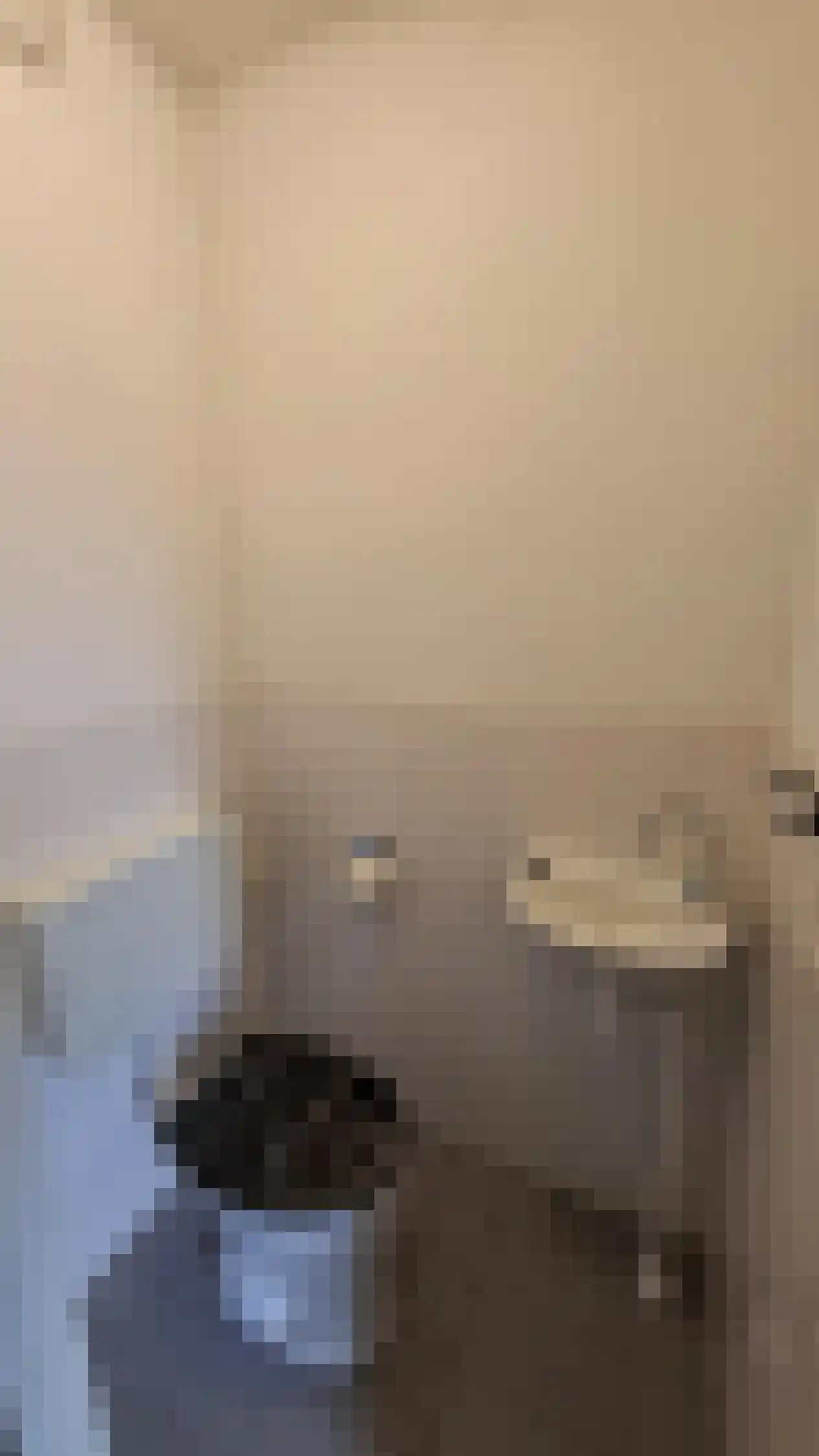 Noordzijdsedijk 144 Hoogvliet Rotterdam thumbnail 5