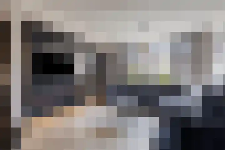 Noordzijdsedijk 144 Hoogvliet Rotterdam thumbnail 6