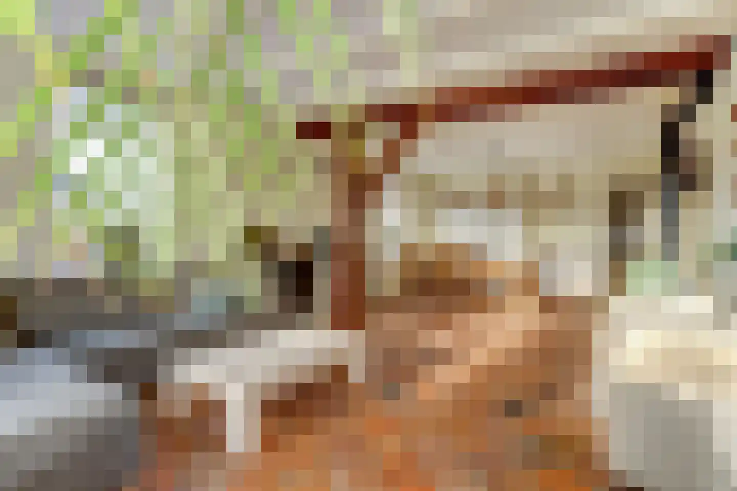 Noordzijdseweg 119 Polsbroek thumbnail 21