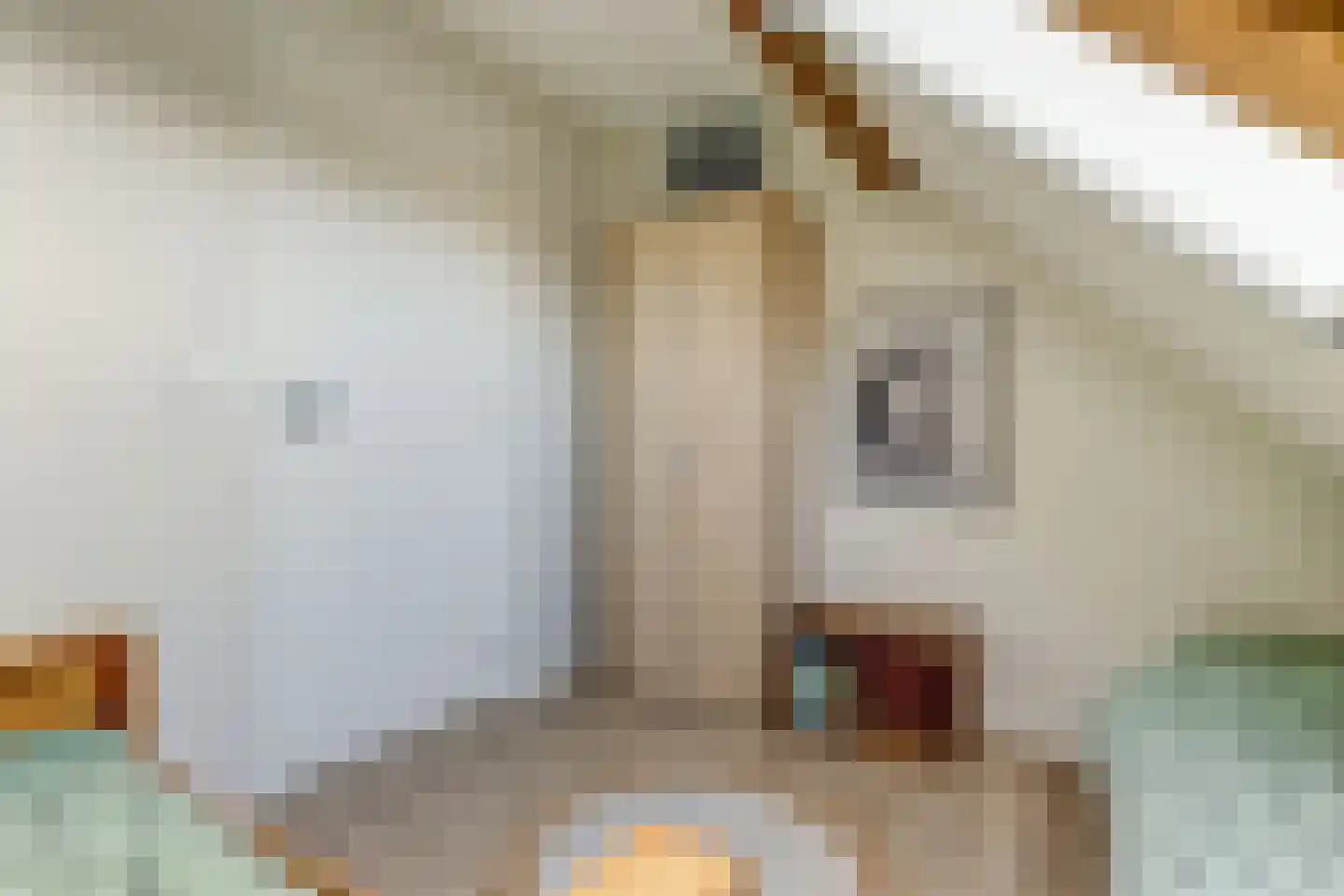 Noordzijdseweg 119 Polsbroek thumbnail 38