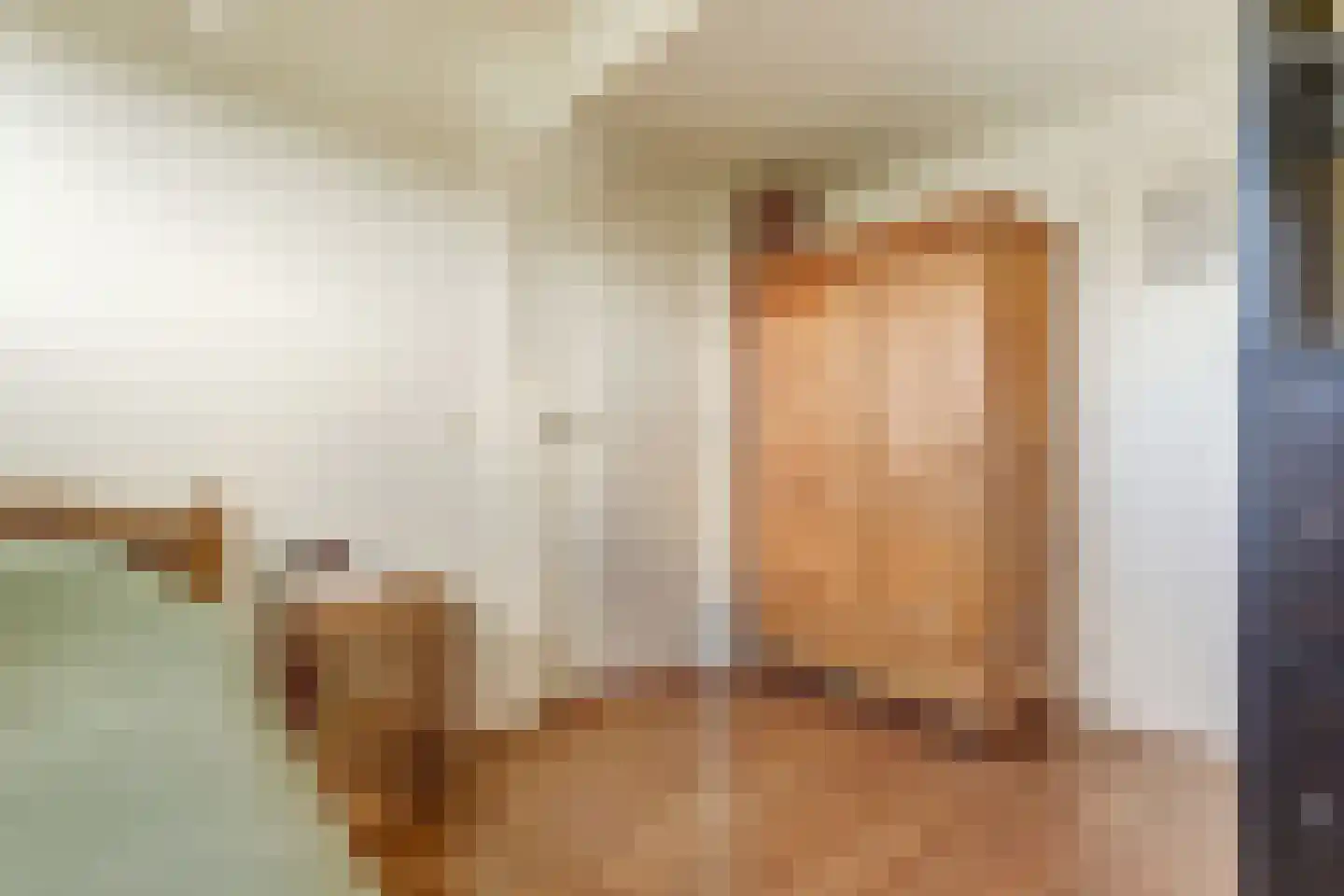 Noordzijdseweg 119 Polsbroek thumbnail 40