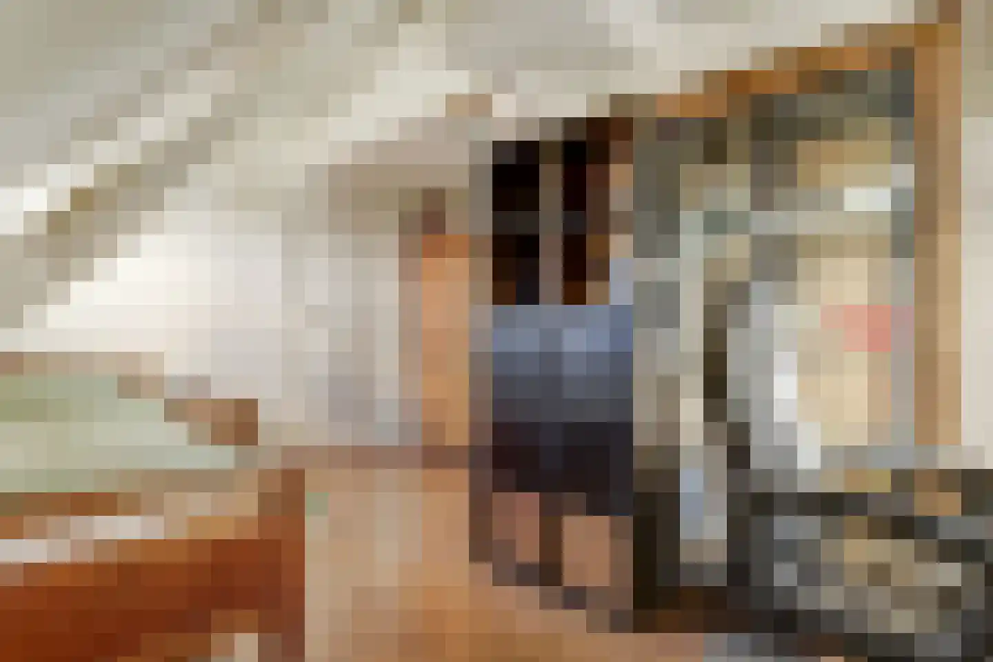 Noordzijdseweg 119 Polsbroek thumbnail 41