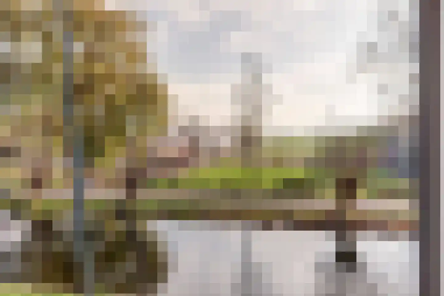 Noordzijdseweg 119 Polsbroek thumbnail 47