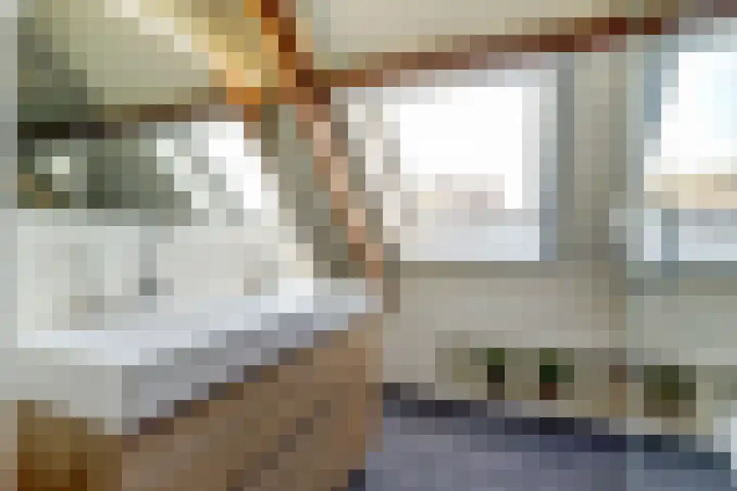 Noordzijdseweg 119 Polsbroek thumbnail 49
