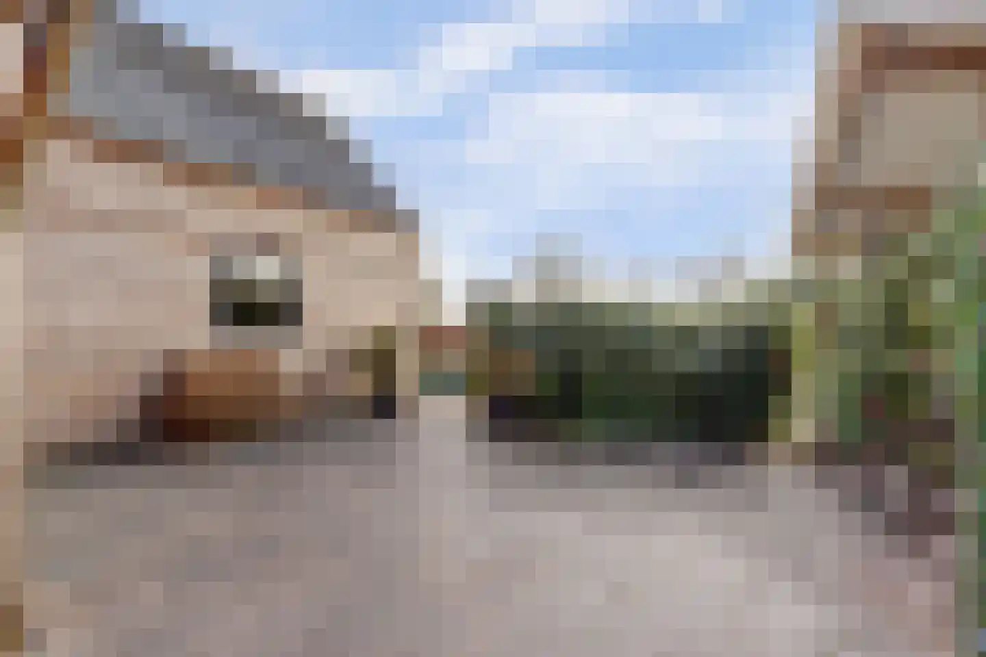 Noordzijdseweg 119 Polsbroek thumbnail 68
