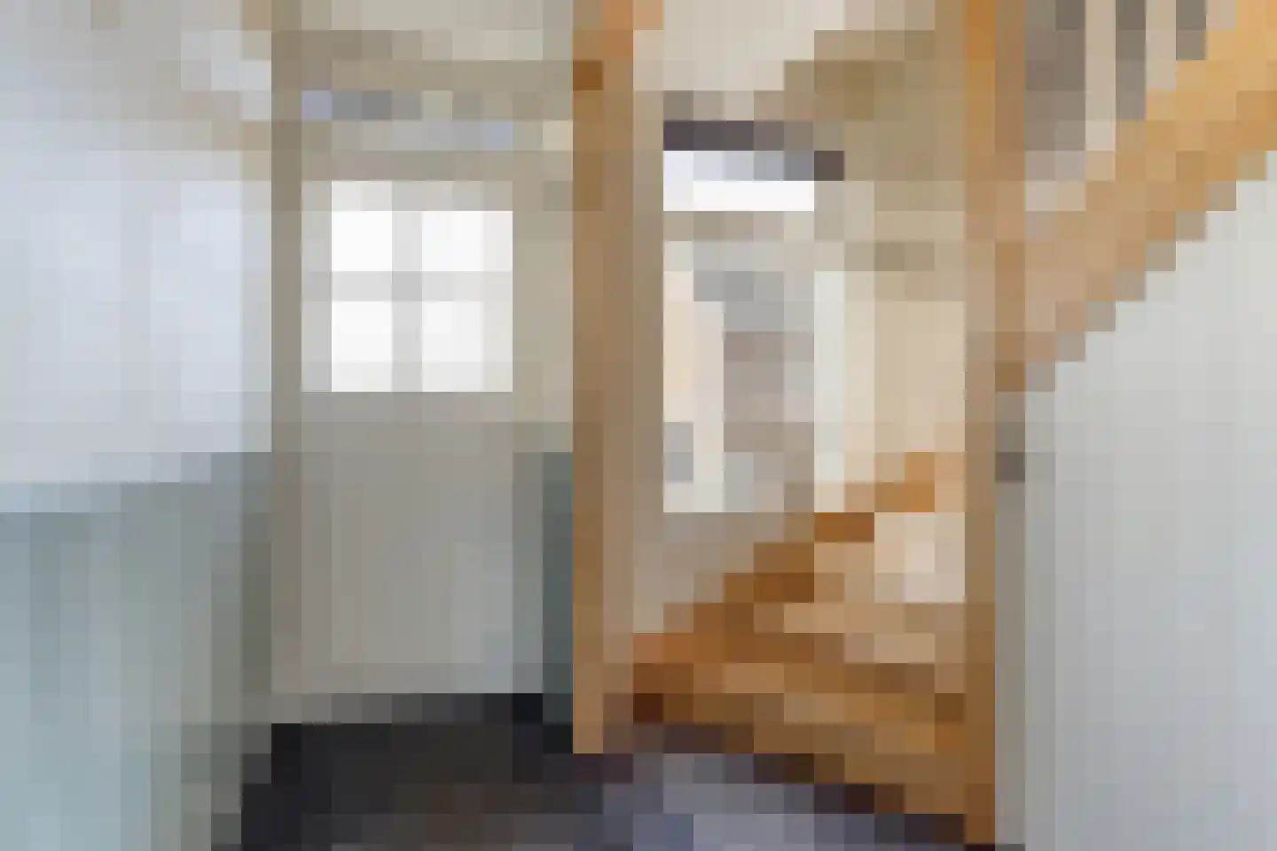 Noordzijdseweg 119 Polsbroek thumbnail 9
