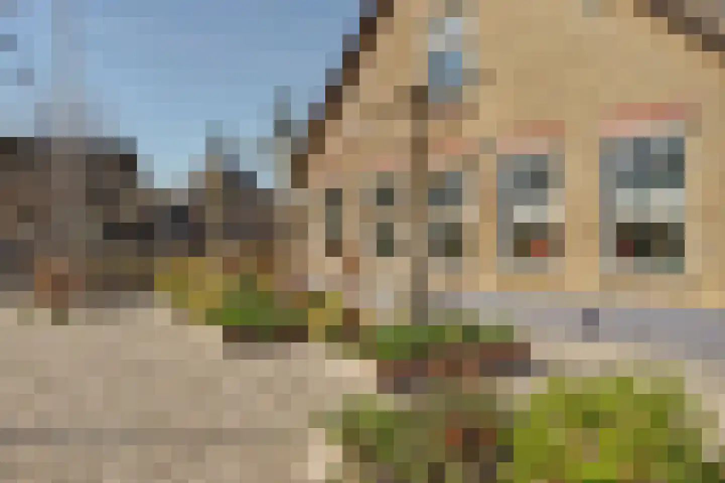 Noordzijdseweg 191 A Polsbroek thumbnail 36
