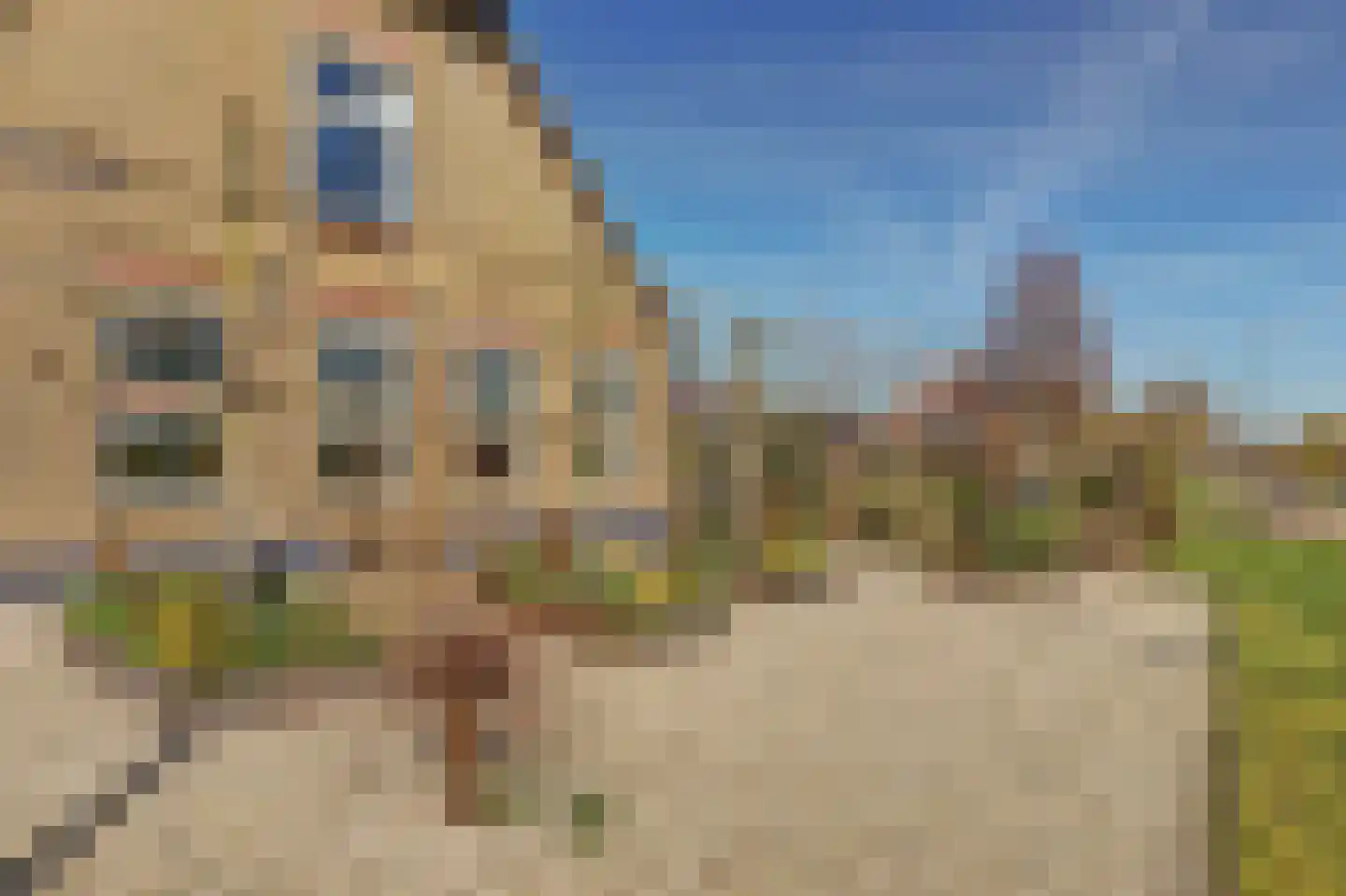 Noordzijdseweg 191 A Polsbroek thumbnail 37