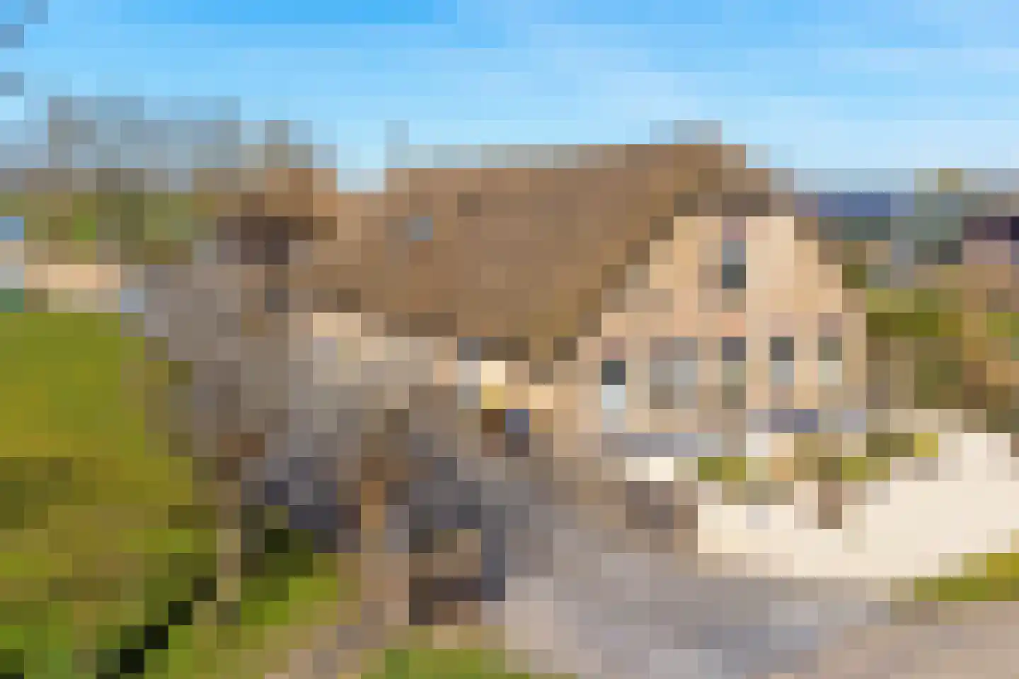 Noordzijdseweg 191 A Polsbroek thumbnail 43