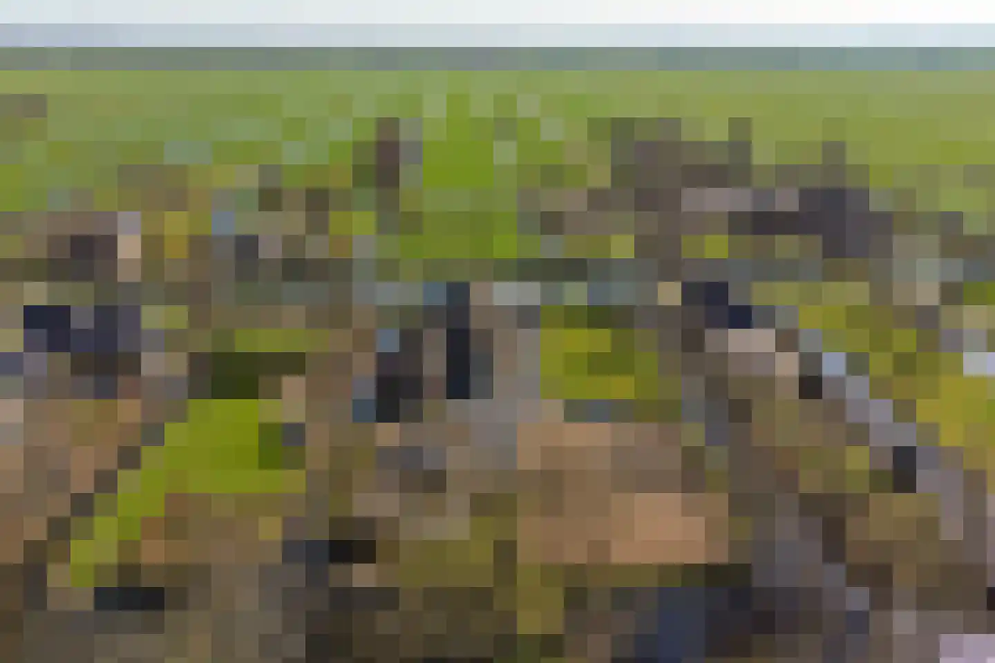 Noordzijdseweg 191 A Polsbroek thumbnail 45