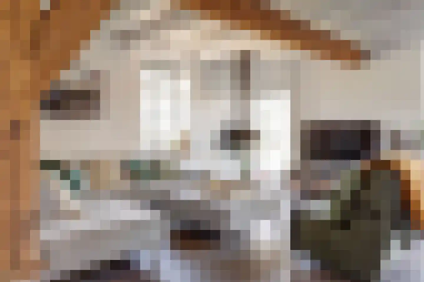 Noordzijdseweg 193 Polsbroek thumbnail 10