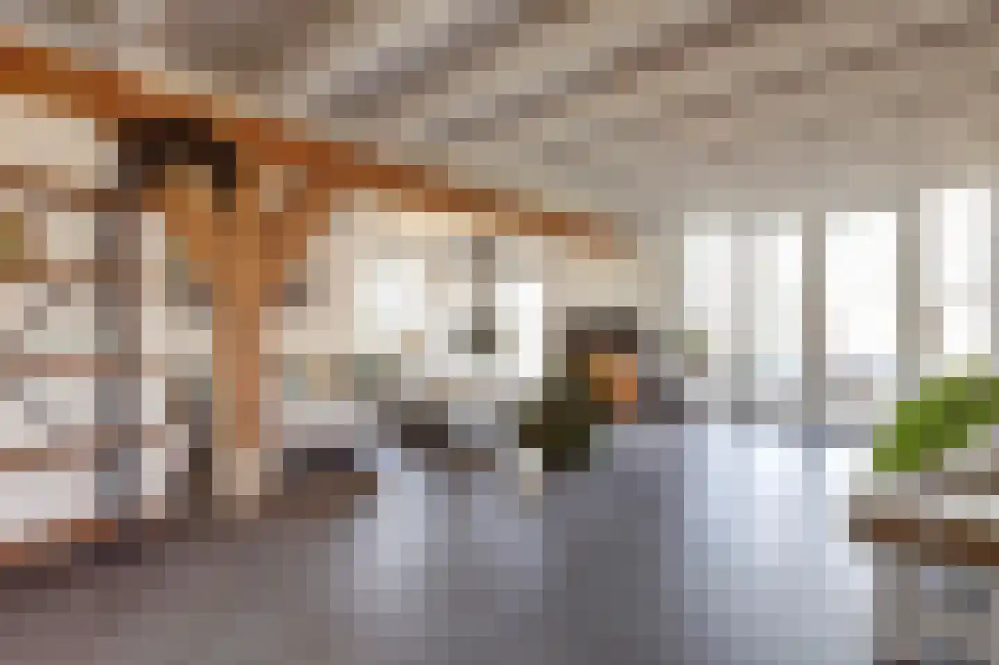 Noordzijdseweg 193 Polsbroek thumbnail 11
