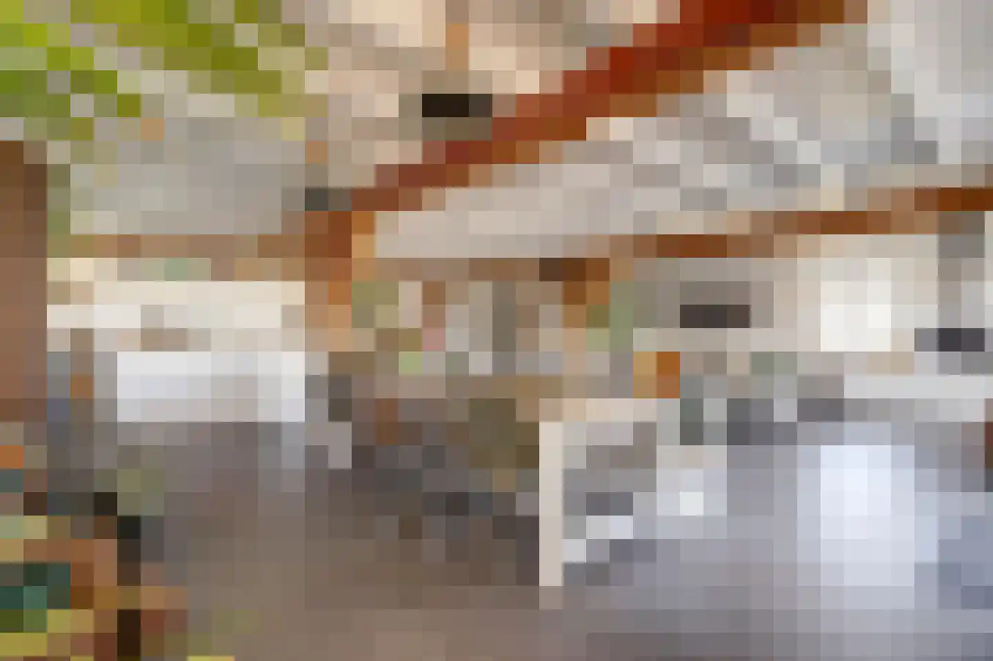 Noordzijdseweg 193 Polsbroek thumbnail 13