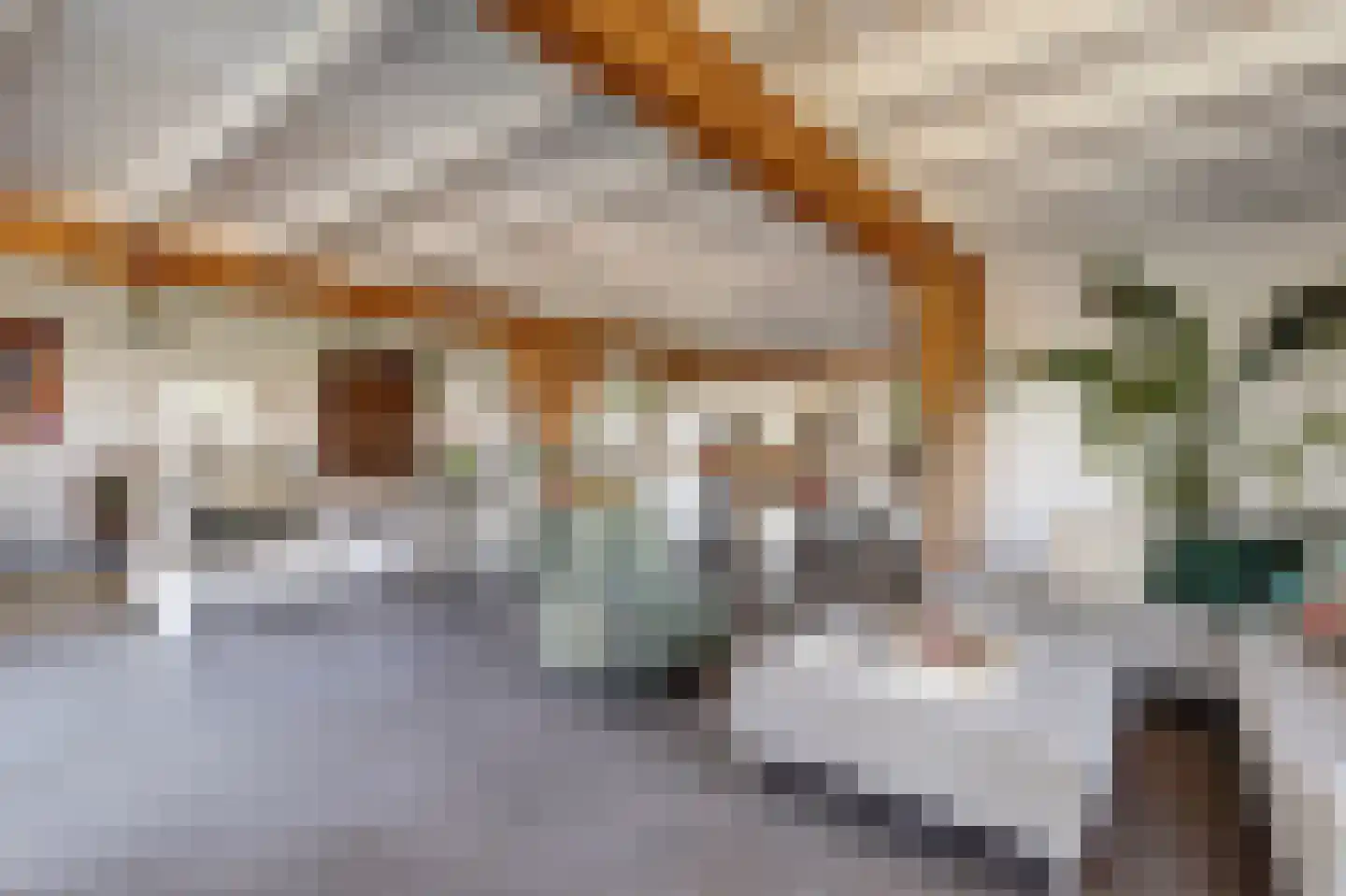 Noordzijdseweg 193 Polsbroek thumbnail 16