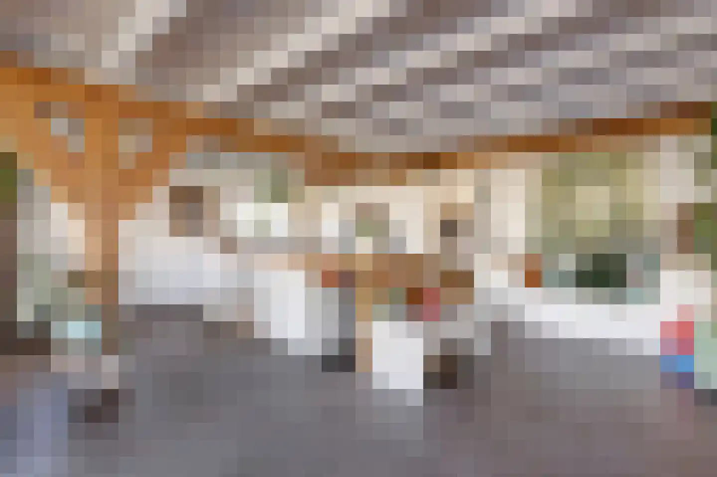 Noordzijdseweg 193 Polsbroek thumbnail 19