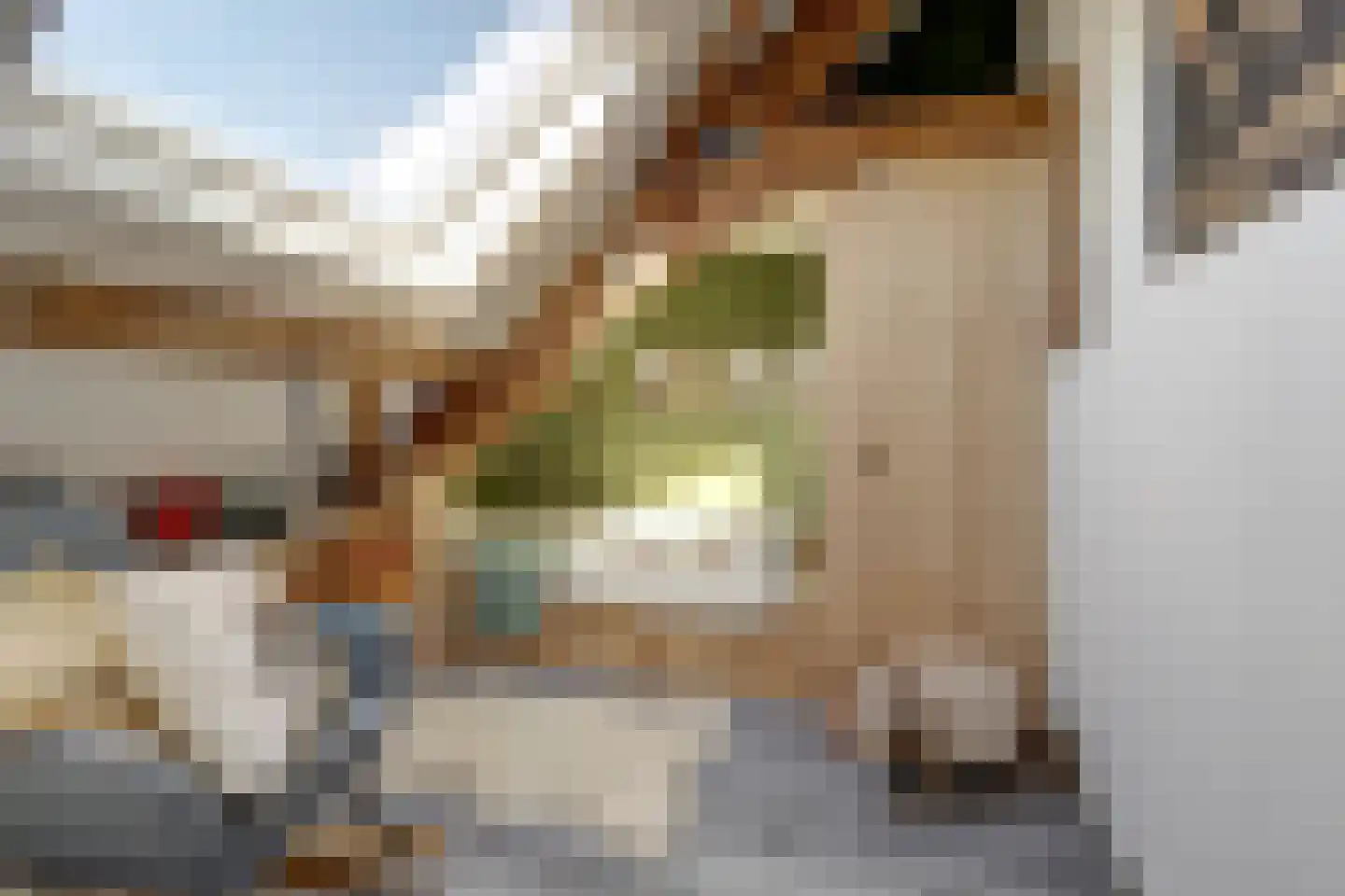 Noordzijdseweg 193 Polsbroek thumbnail 29
